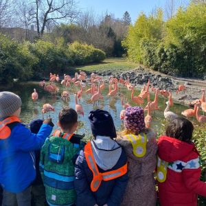 Skype_Picture_2023_07_26T06_15_50_194Z