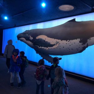 Skype_Picture_2023_07_26T06_16_06_078Z